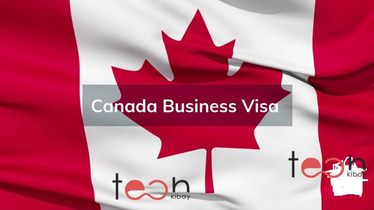 Canada Investment Visa: Migrate to Canada Via Investor VISA Program