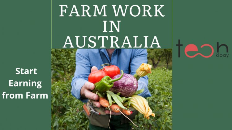 How to Find Opportunities and Start Earning from Farm Work in Australia