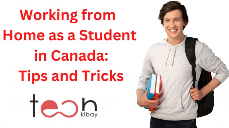 Working from Home as a Student in Canada: Tips and Tricks