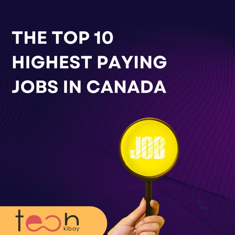 The Top 10 Highest Paying Jobs in Canada for International Workers