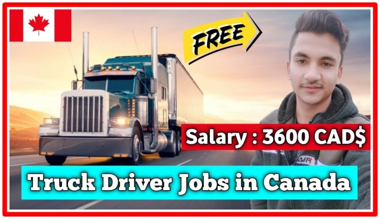 Explore the Exciting Opportunity of Driving Jobs in Canada 2023 for International Applicants!