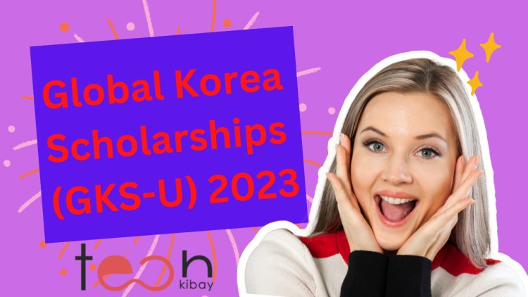 How to Apply for the Global Korea Scholarships (GKS-U) 2023