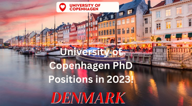 university of copenhagen phd application deadline