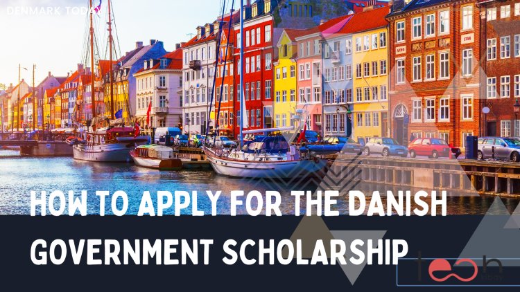 How to Apply for the Danish Government Scholarship 2023